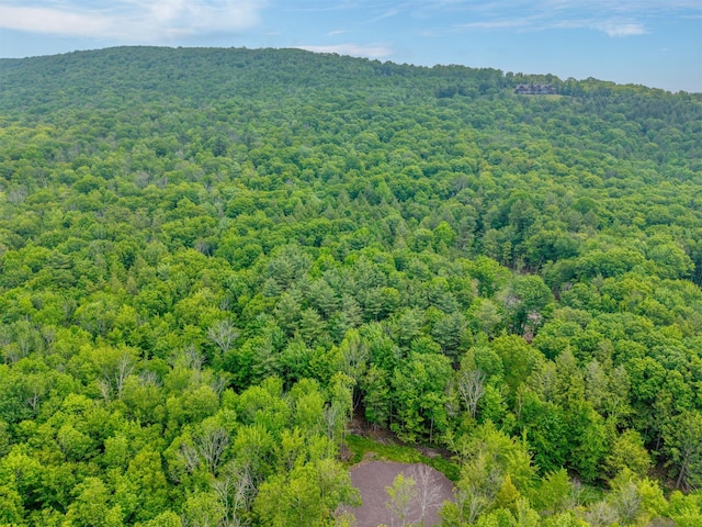 TBD Boulder Brook B Road, Windham, NY 12496 - photo 33