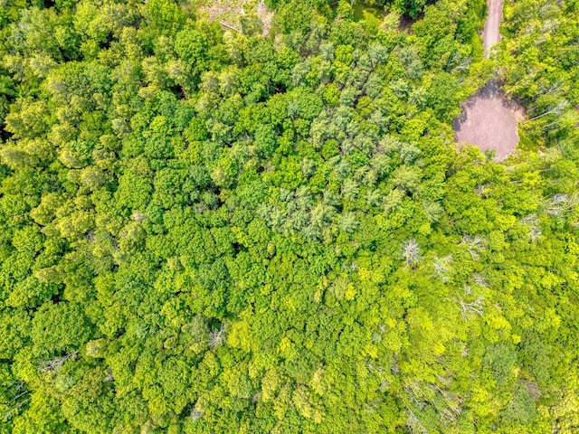 TBD Boulder Brook B Road, Windham, NY 12496 - photo 34