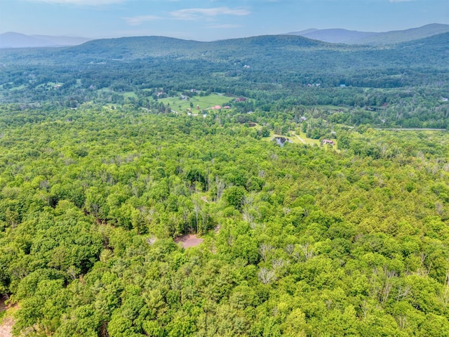 TBD Boulder Brook B Road, Windham, NY 12496 - photo 35