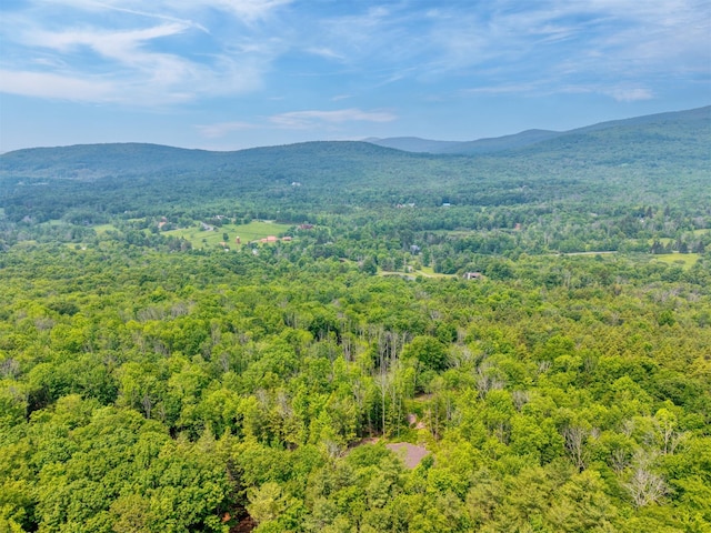 TBD Boulder Brook B Road, Windham, NY 12496 - photo 36