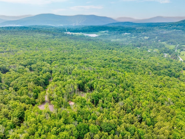 TBD Boulder Brook B Road, Windham, NY 12496 - photo 37