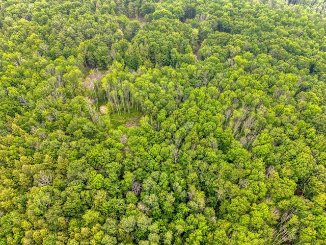 TBD Boulder Brook B Road, Windham, NY 12496 - photo 38
