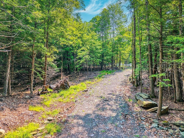 TBD Boulder Brook B Road, Windham, NY 12496 - photo 39
