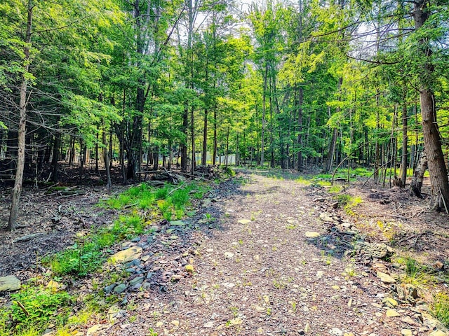TBD Boulder Brook B Road, Windham, NY 12496 - photo 40