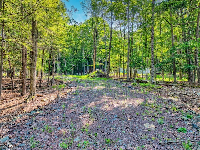 TBD Boulder Brook B Road, Windham, NY 12496 - photo 41