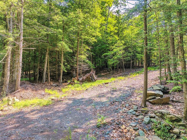 TBD Boulder Brook B Road, Windham, NY 12496 - photo 43