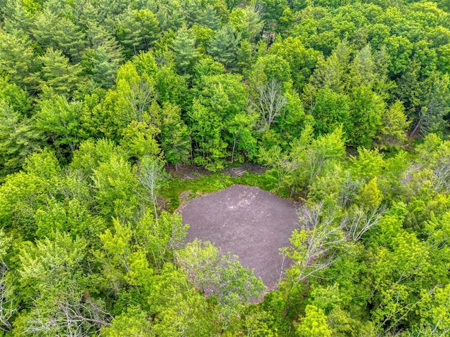 TBD Boulder Brook B Road, Windham, NY 12496 - photo 46