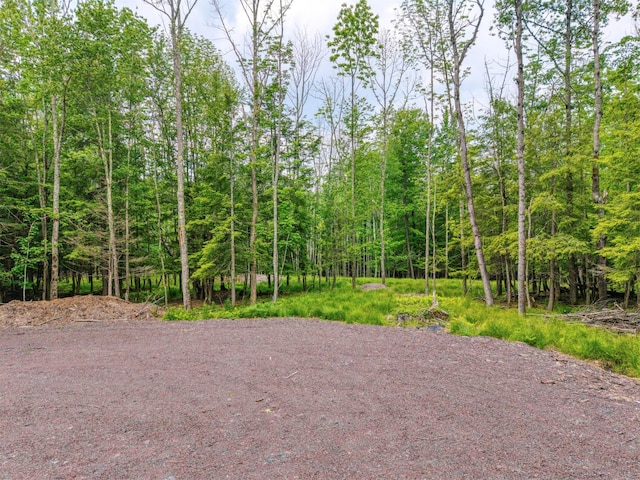 TBD Boulder Brook B Road, Windham, NY 12496 - photo 47