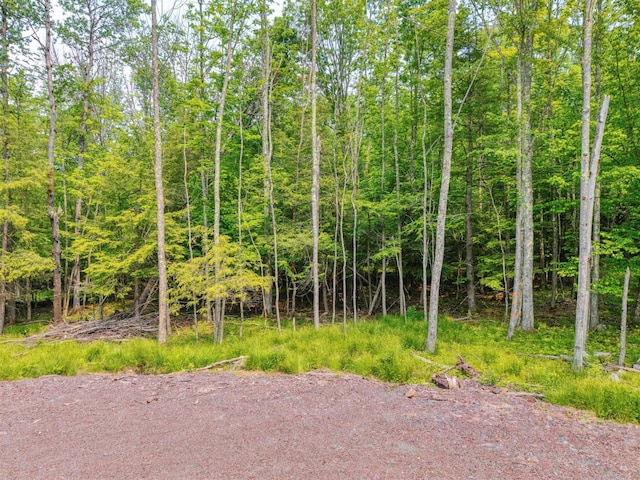 TBD Boulder Brook B Road, Windham, NY 12496 - photo 48