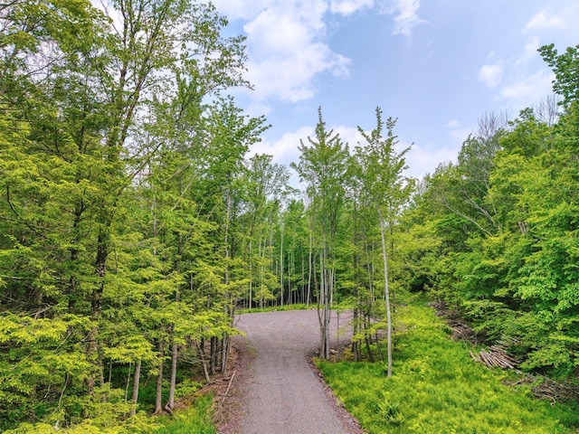 TBD Boulder Brook B Road, Windham, NY 12496 - photo 49