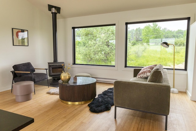 612 Beechwoods Rd, Callicoon, NY 12723 - living area featuring a wood stove and wood finished floors