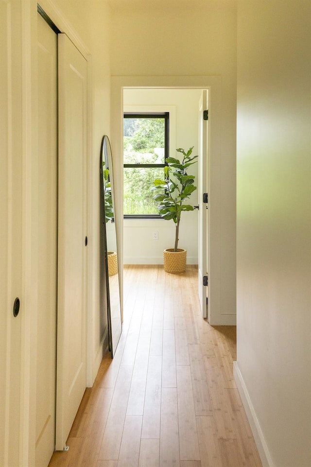 612 Beechwoods Rd, Callicoon, NY 12723 - corridor with light wood-style flooring and baseboards