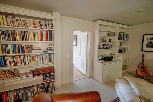 132 Decker, Ancram, NY 12502 - living area featuring bookshelves
