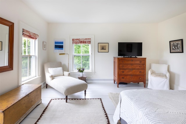 132 Decker, Ancram, NY 12502 - bedroom with multiple windows