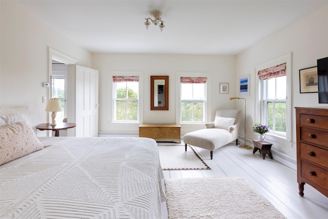 132 Decker, Ancram, NY 12502 - bedroom featuring light wood finished floors and baseboards