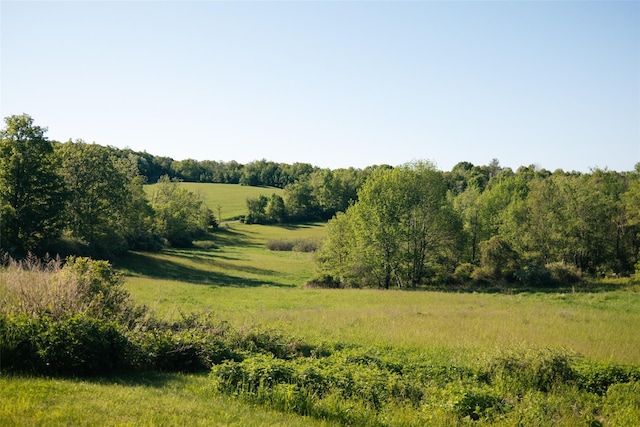 132 Decker, Ancram, NY 12502 - view of nature featuring rural landscape