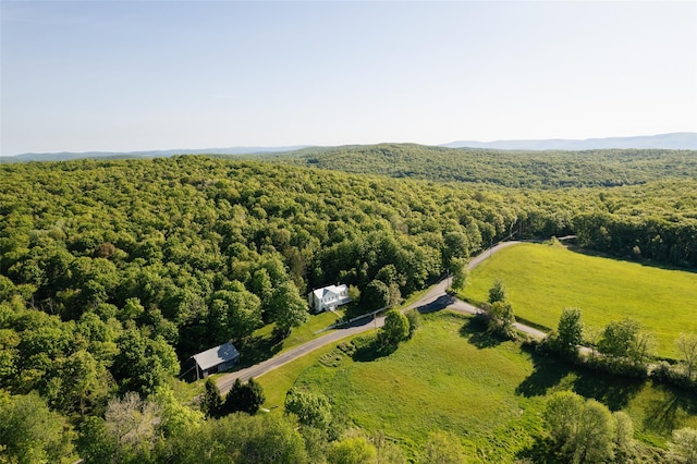 132 Decker Rd, Ancram, NY 12502 - drone / aerial view of a forest