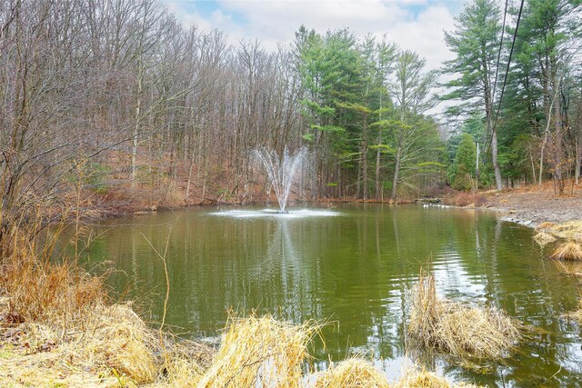 106 Davis Rd, Salt Point, NY 12578 - photo 29