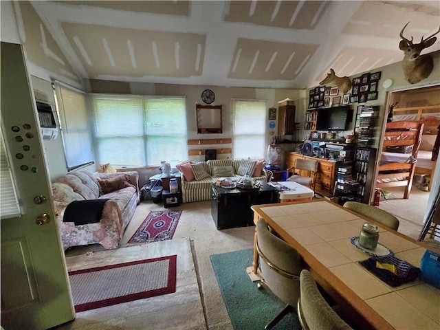 646 Dufton Hollow Rd, Hancock, NY 13783 - living room with carpet