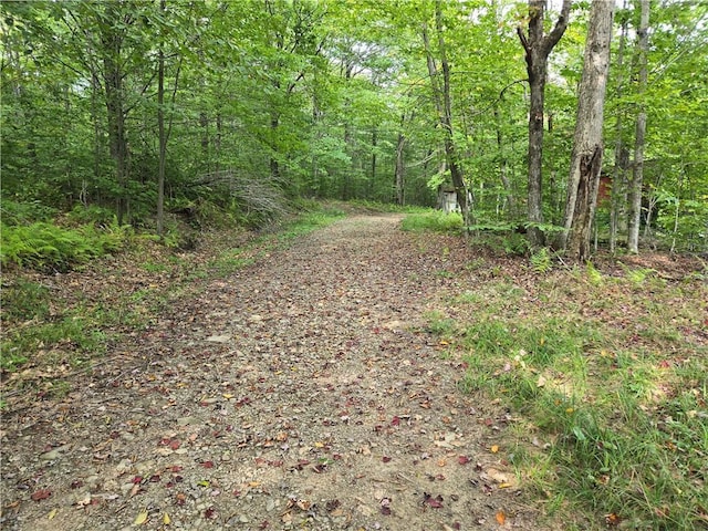 646 Dufton Hollow Rd, Hancock, NY 13783 - view of street featuring a forest view