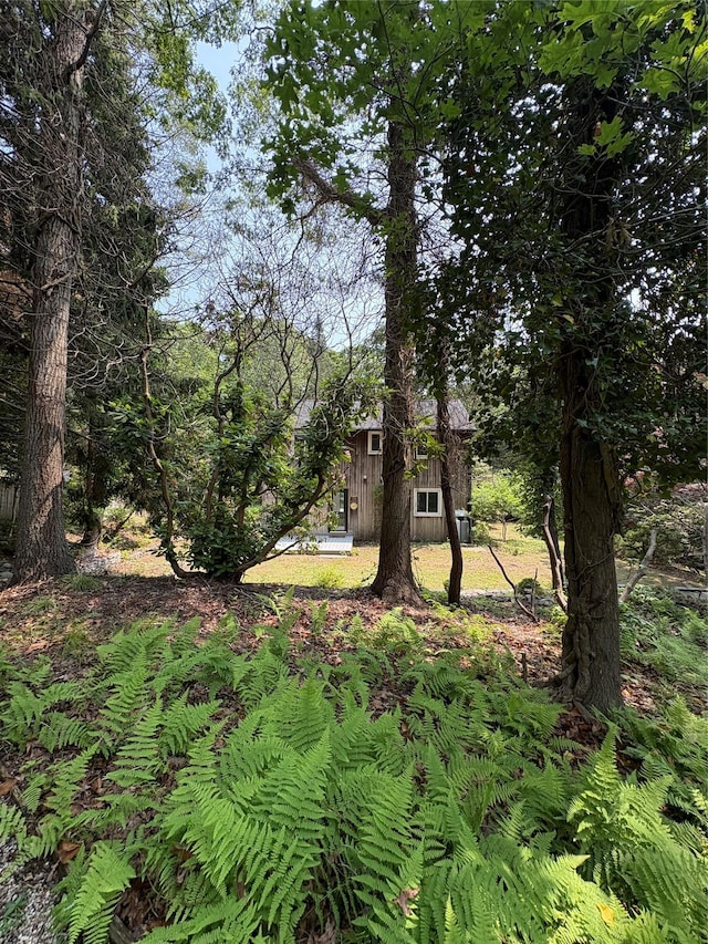 165 Roses Grove Rd, Water Mill, NY 11976 - view of yard