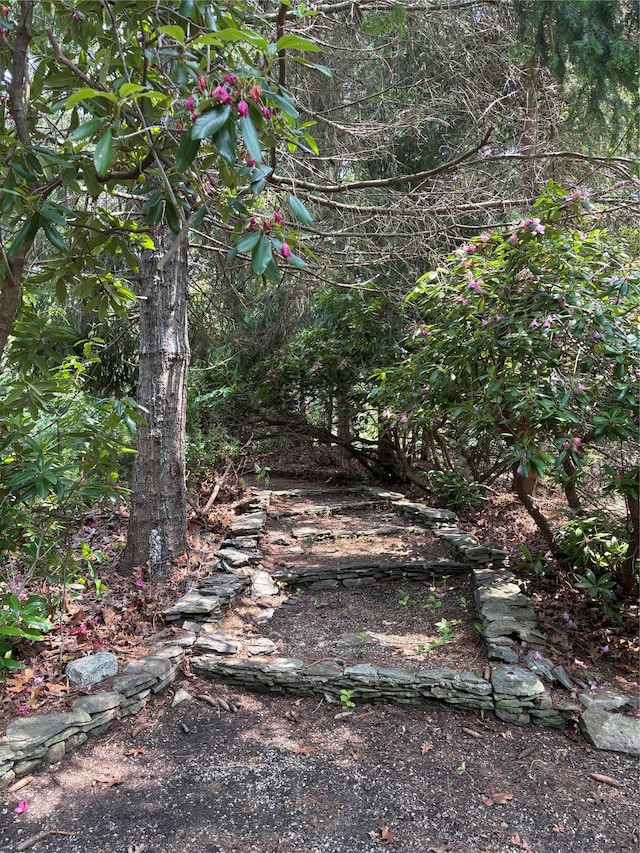 165 Roses Grove Rd, Water Mill, NY 11976 - view of local wilderness