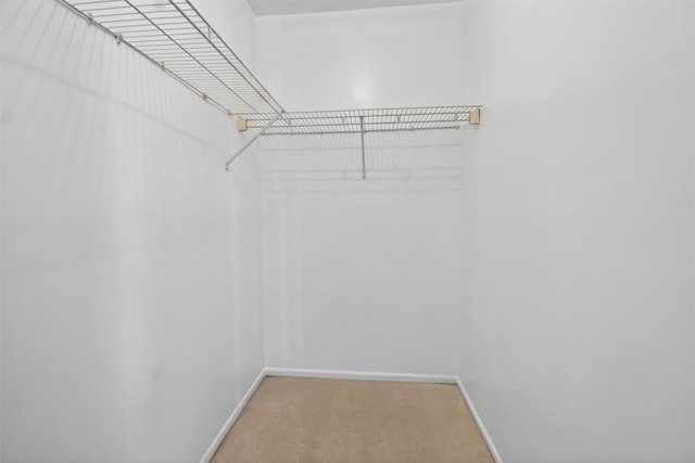 307 Gazebo Ct, New Windsor, NY 12553 - spacious closet featuring carpet floors