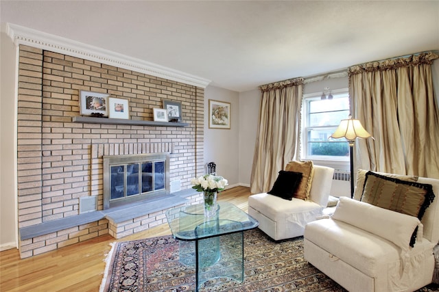 59 Russell Rd, Garden City, NY 11530 - living area featuring wood finished floors, a fireplace, and radiator heating unit