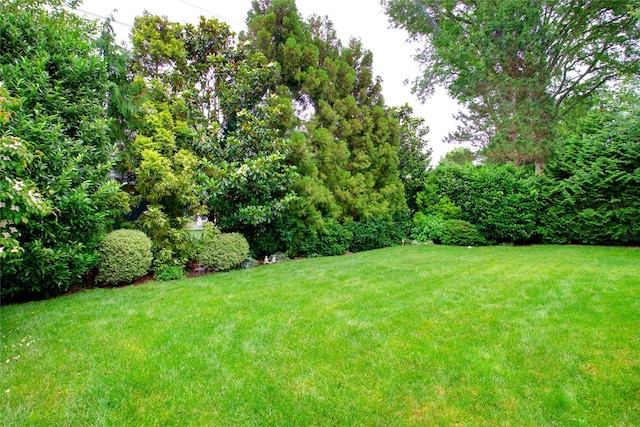 59 Russell Rd, Garden City, NY 11530 - view of grassy yard