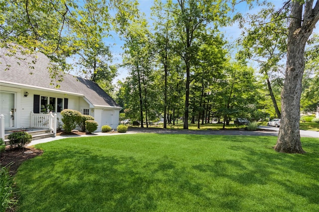 509 Hudson View Rd, Nyack, NY 10960 - view of grassy yard