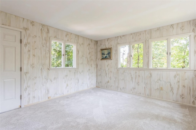 509 Hudson View Rd, Nyack, NY 10960 - empty room with carpet flooring and wallpapered walls