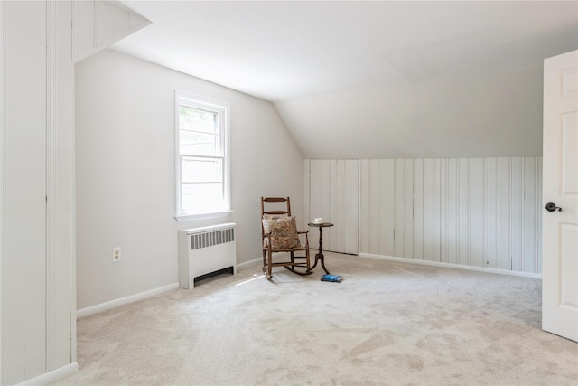 509 Hudson View Rd, Nyack, NY 10960 - sitting room with radiator heating unit, carpet, and lofted ceiling