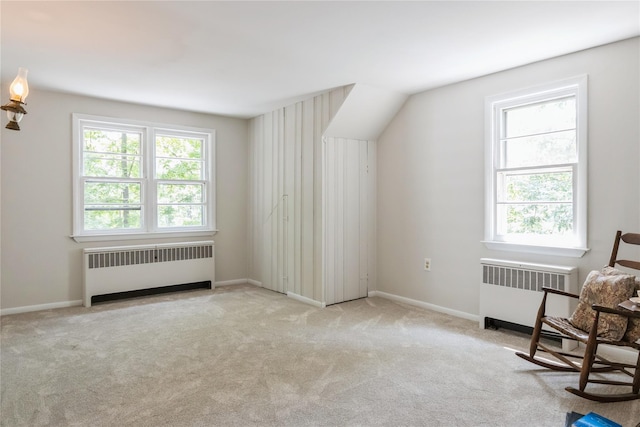 509 Hudson View Rd, Nyack, NY 10960 - bonus room with radiator and carpet flooring