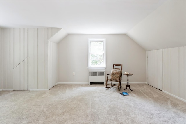 509 Hudson View Rd, Nyack, NY 10960 - bonus room with radiator, carpet, and vaulted ceiling