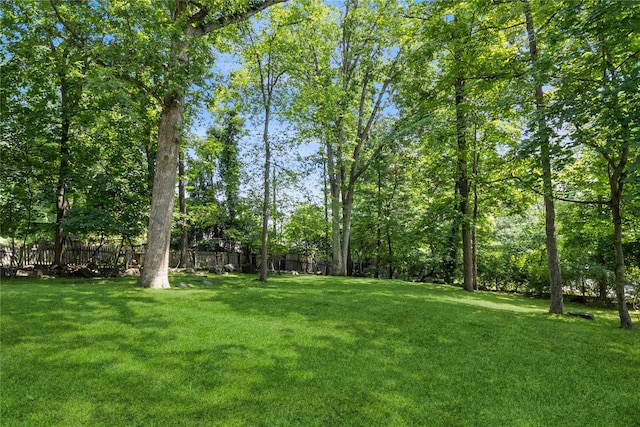 509 Hudson View Rd, Nyack, NY 10960 - view of yard