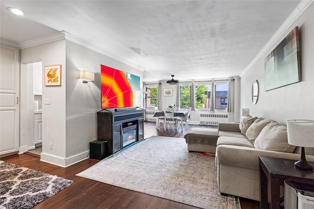 3 Birchwood Ct # 5K, Mineola, NY 11501 - living area featuring radiator heating unit, crown molding, wood finished floors, and a glass covered fireplace