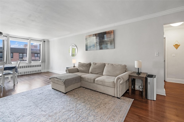3 Birchwood Ct # 5K, Mineola, NY 11501 - living room featuring radiator, ornamental molding, and wood finished floors