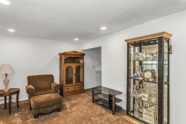 11 Sentinel Pl, Massapequa, NY 11758 - sitting room featuring carpet and recessed lighting