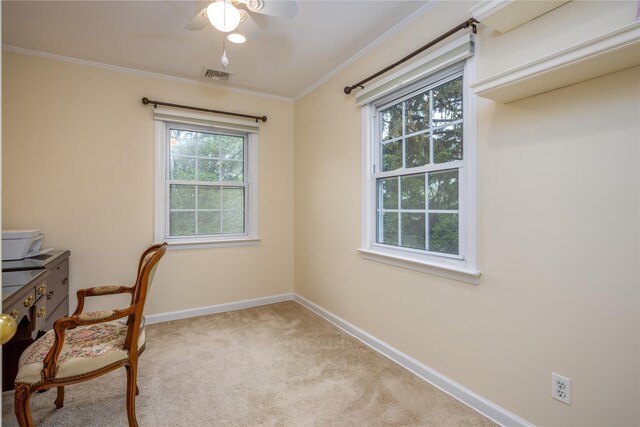 29 Chatfield Rd, Bronxville, NY 10708 - photo 21