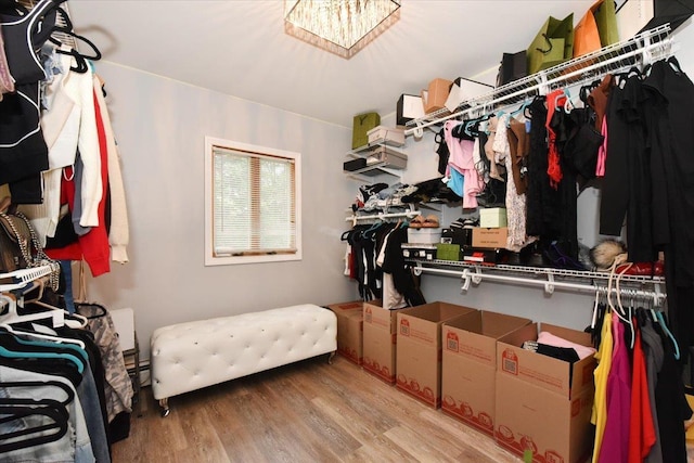 36 Shubert Ln, Bethpage, NY 11714 - walk in closet featuring wood finished floors