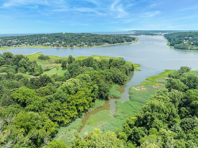 31 Factory Pond Rd, Locust Valley, NY 11560 - bird's eye view of a large body of water and a heavily wooded area