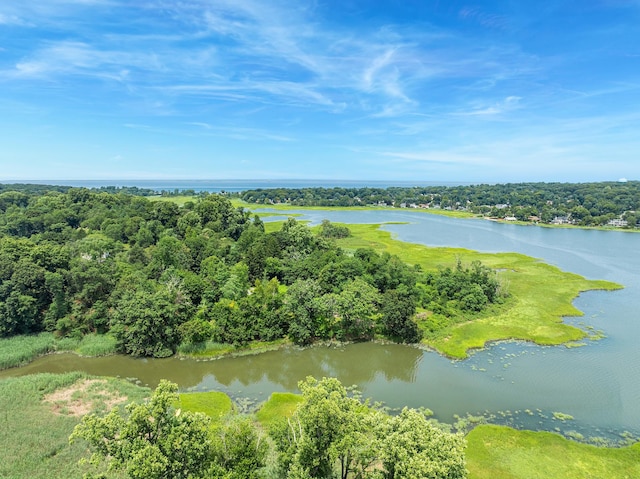 31 Factory Pond Rd, Locust Valley, NY 11560 - aerial view of a nearby body of water