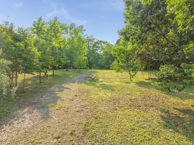 31 Factory Pond Rd, Locust Valley, NY 11560 - view of road