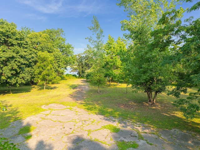 31 Factory Pond Rd, Locust Valley, NY 11560 - view of street