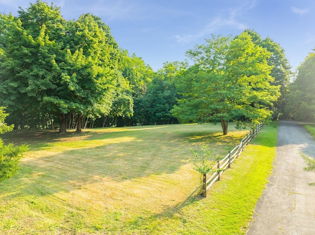 31 Factory Pond Rd, Locust Valley, NY 11560 - view of yard