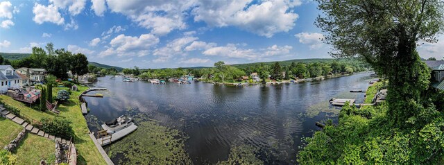 60 Linden Ave, Greenwood Lake, NY 10925 - photo 41