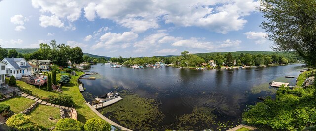 60 Linden Ave, Greenwood Lake, NY 10925 - photo 42