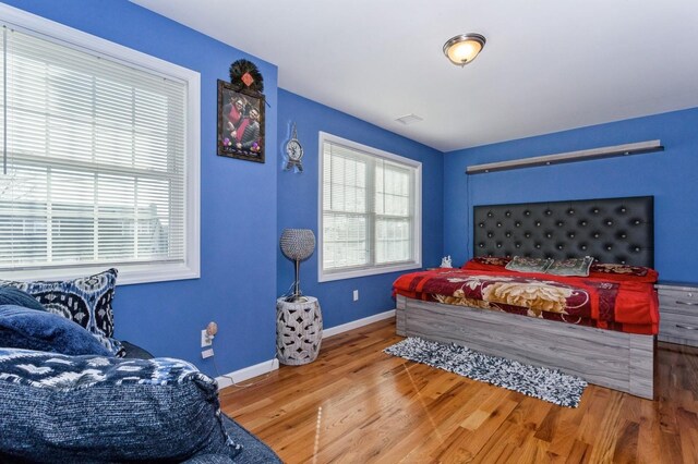 112 Emporia Ave, Elmont, NY 11003 - photo 15