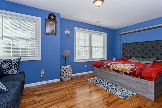 112 Emporia Ave, Elmont, NY 11003 - photo 16