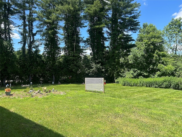 16 Rte 292 Unit 14, Patterson, NY 12563 - view of grassy yard